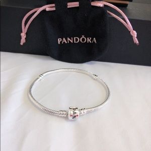 Iconic PANDORA Sterling Silver Charm
